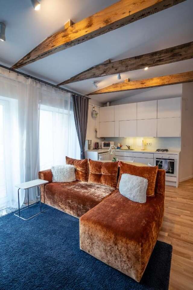 Апарт-отели Alpetri Apartments Каунас-15